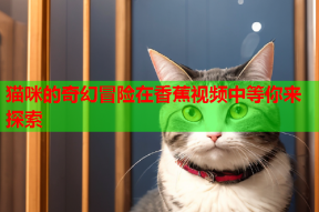 猫咪的奇幻冒险在香蕉视频中等你来探索