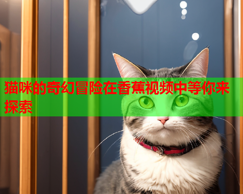 猫咪的奇幻冒险在香蕉视频中等你来探索  第1张